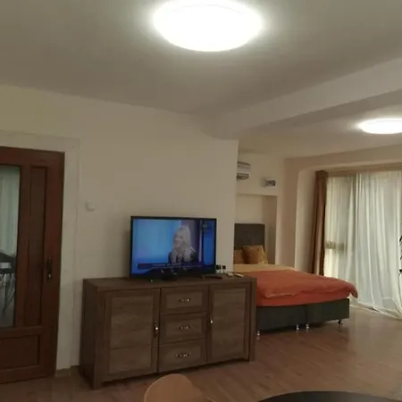 Apartment Elegant Loft