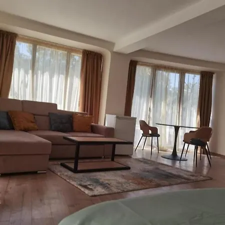 Elegant Loft Apartment Plovdiv
