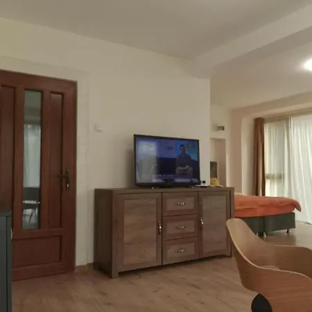 Elegant Loft Apartment Plovdiv