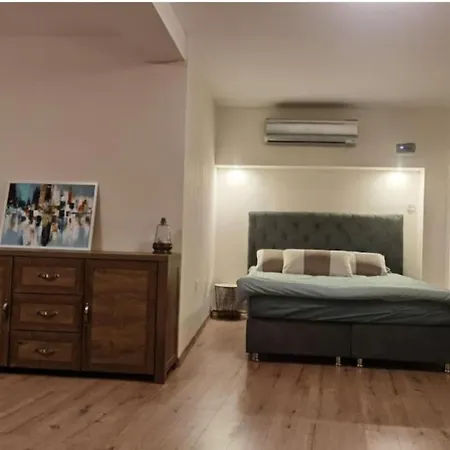 Elegant Loft Apartament