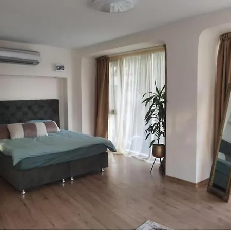 Elegant Loft Apartament