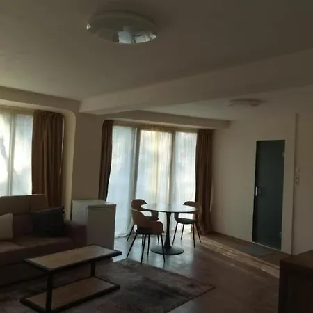 Elegant Loft Apartament