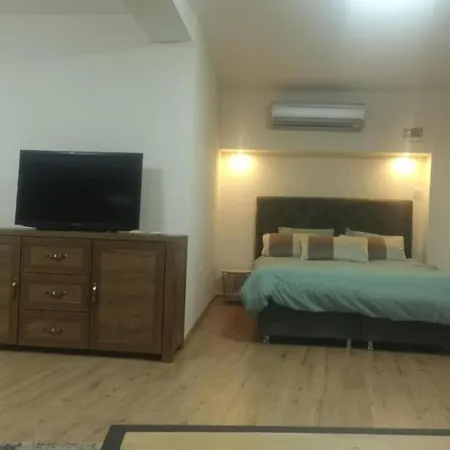 Elegant Loft Apartament *